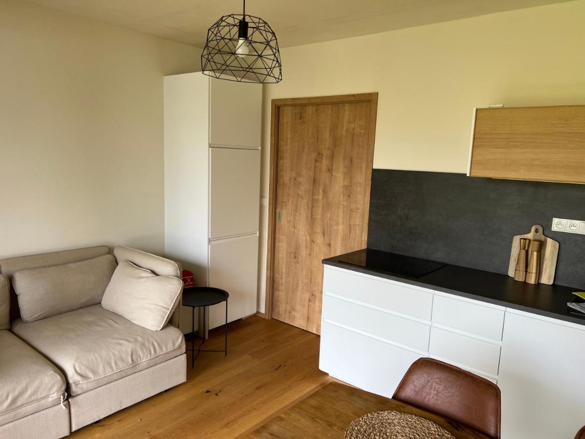 Boruvka Apartment *